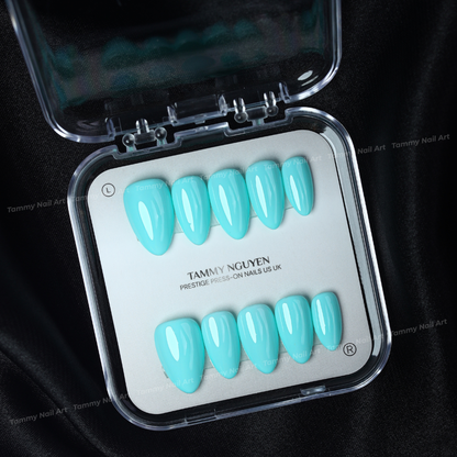 Press-on Nails Aqua Dream